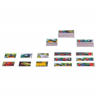 Piatnik Memo domino Papagaji 