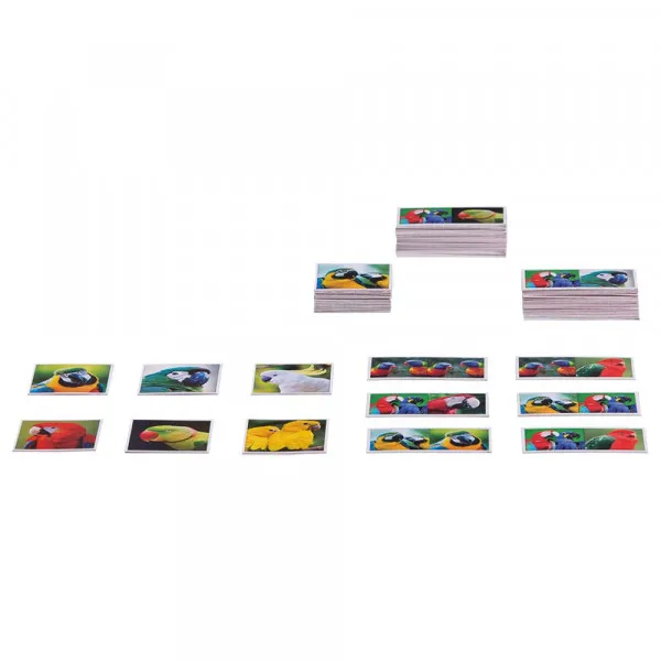 Piatnik Memo domino Papagaji 